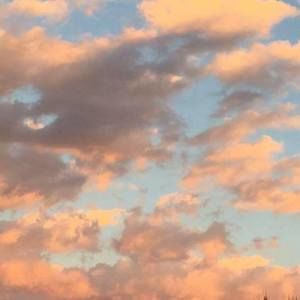 Meet your Posher, Carrie